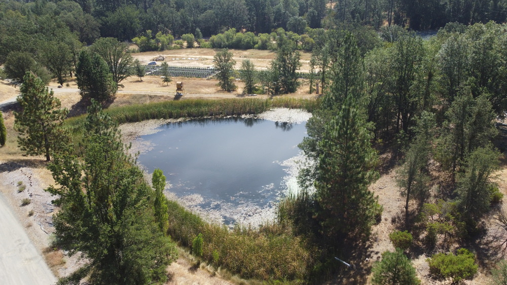 Meadow aerial view
