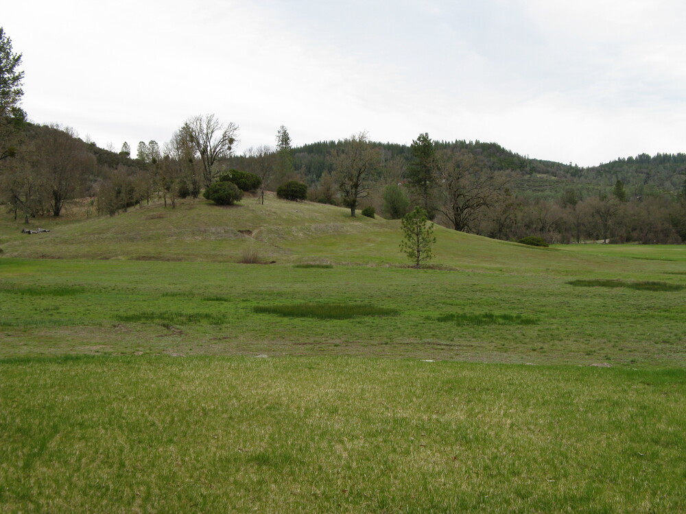 Wildlife on the property