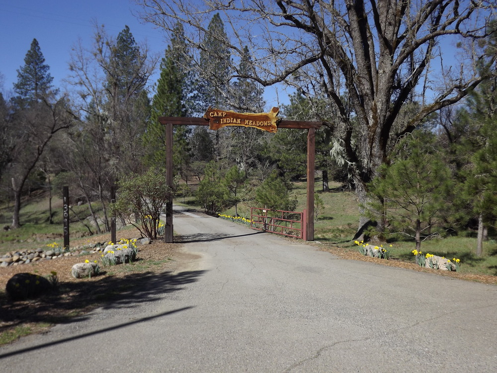 Camp Indian Meadows landscape